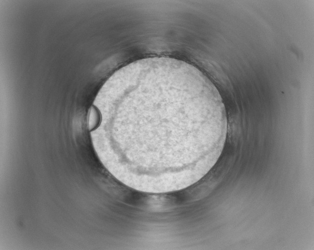 X0000114630623200911171011