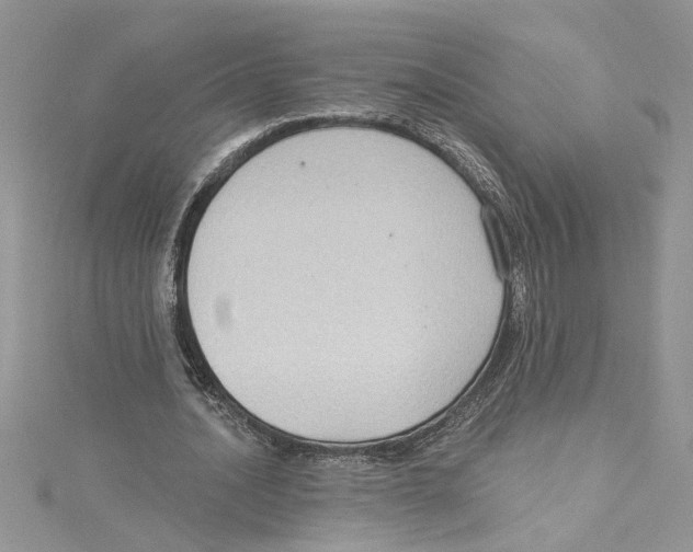 X0000114630628200911171011