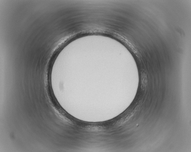 X0000114630629200911171011