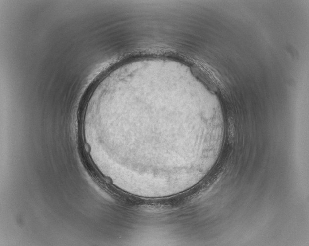 X0000114630630200911171011