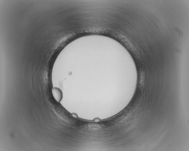 X0000114630636200911171011