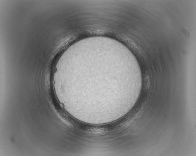 X0000114630638200911171011