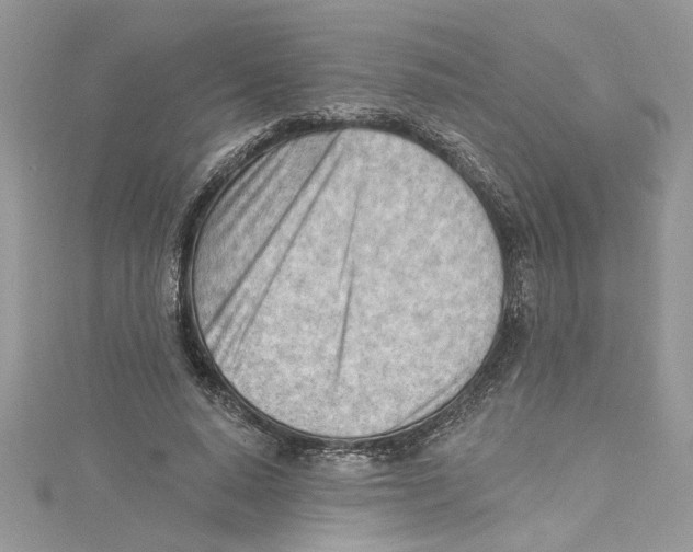 X0000114630640200911171011