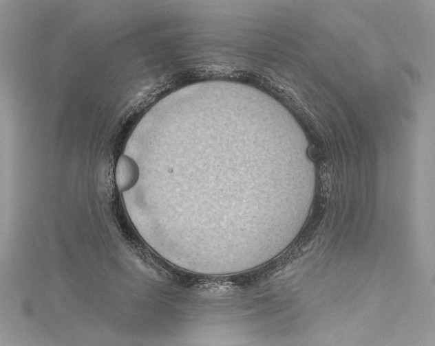 X0000114630642200911171011