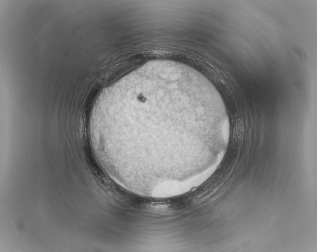 X0000114630651200911171011