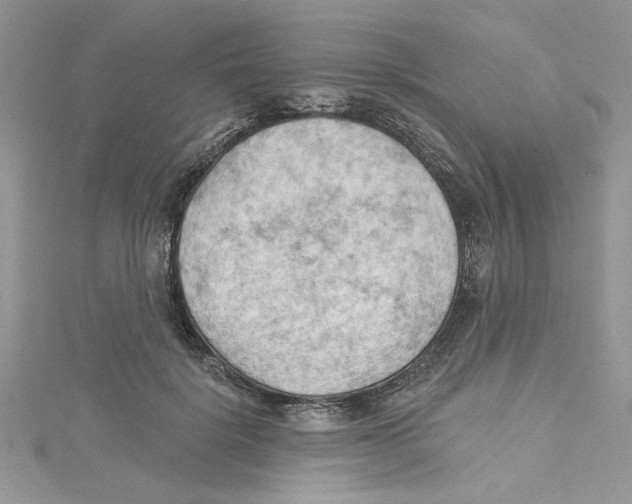 X0000114630652200911171011