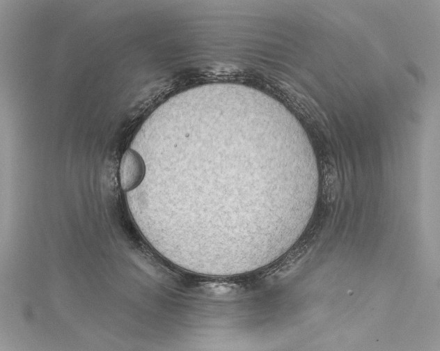 X0000114630654200911171011