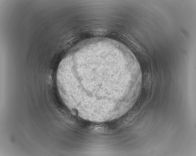 X0000114630655200911171011