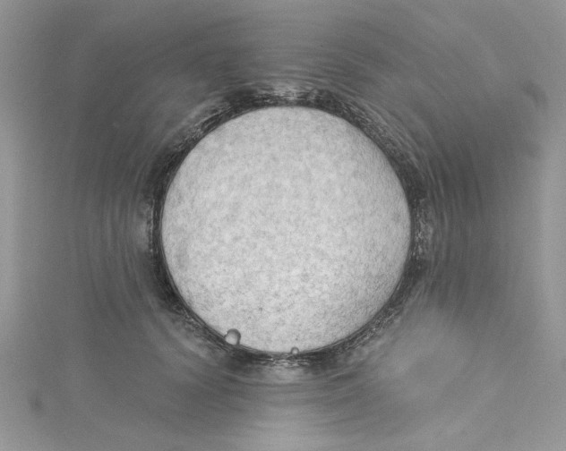 X0000114630656200911171011