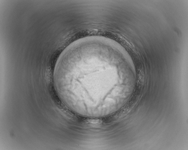 X0000114630659200911171011