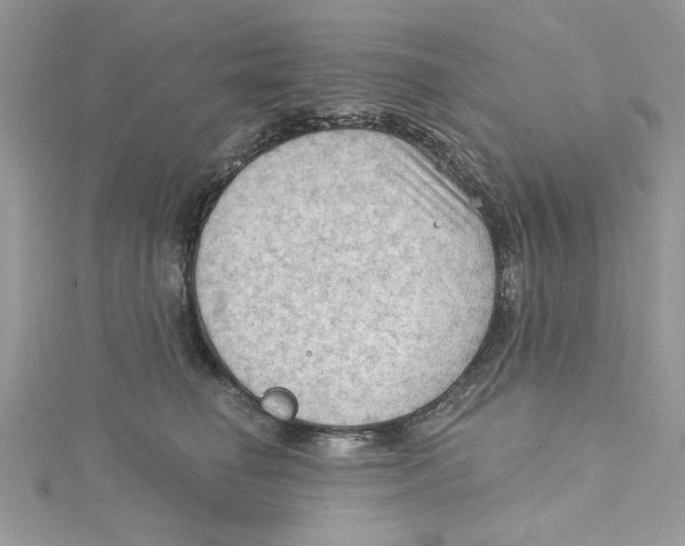 X0000114630662200911171011