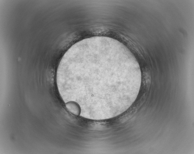 X0000114630664200911171011