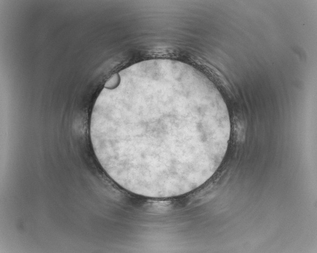 X0000114630665200911171011