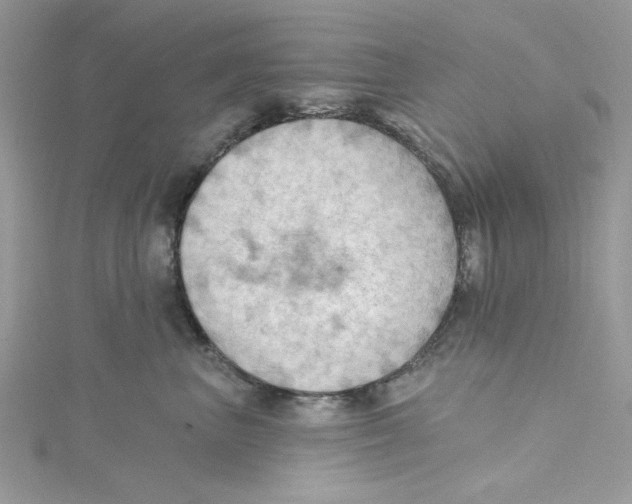 X0000114630667200911171011