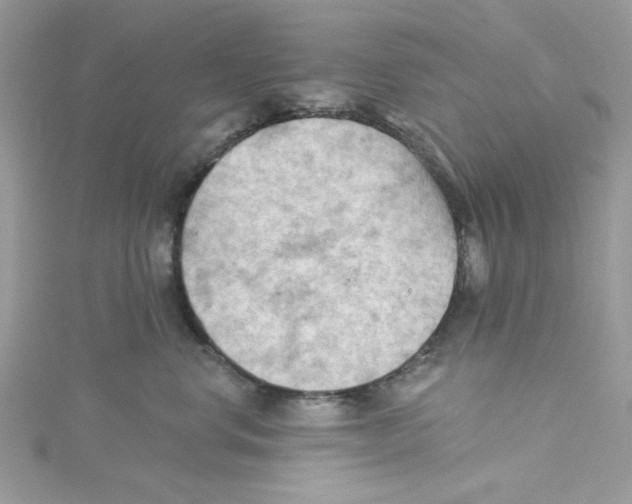 X0000114630668200911171011