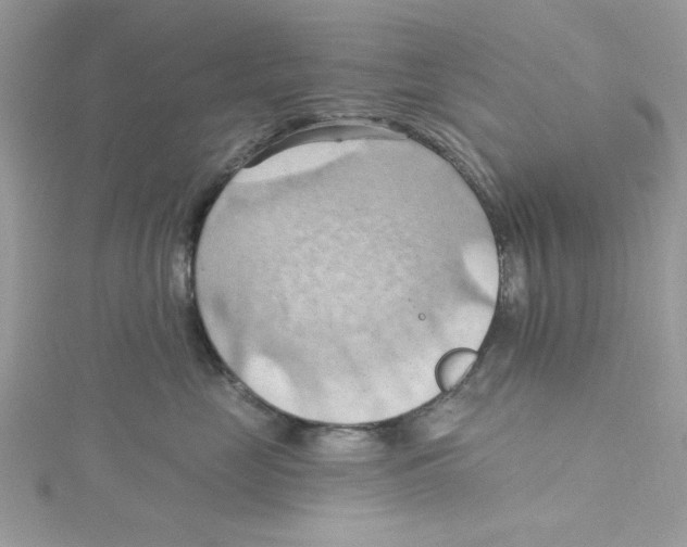 X0000114630669200911171011