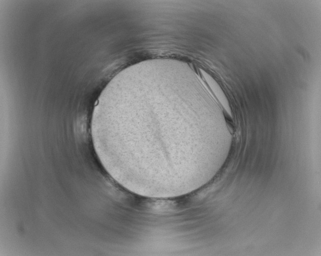 X0000114630670200911171011