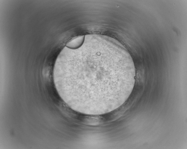 X0000114630671200911171011