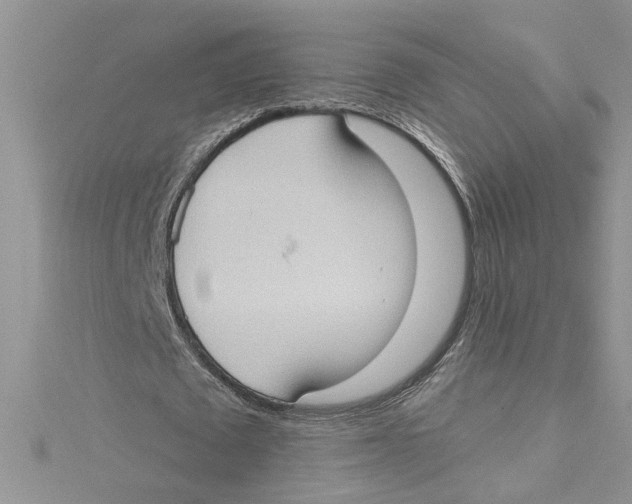 X0000114630673200911171011