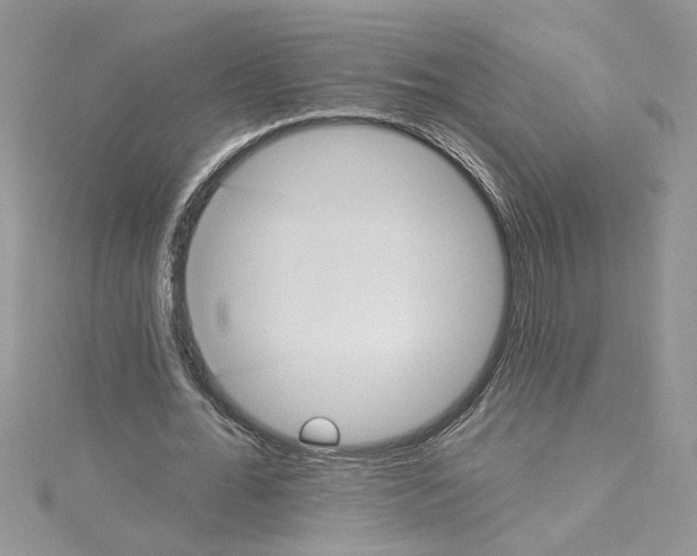 X0000114630676200911171011