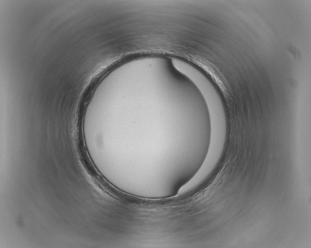 X0000114630677200911171011