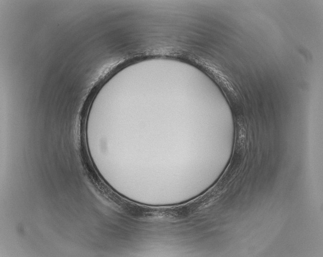 X0000114630678200911171010