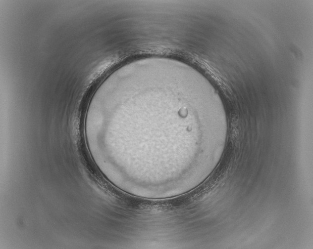 X0000114630679200911171010