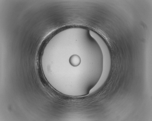 X0000114630680200911171010