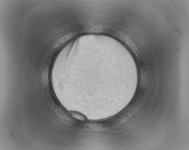 X0000114630681200911171010