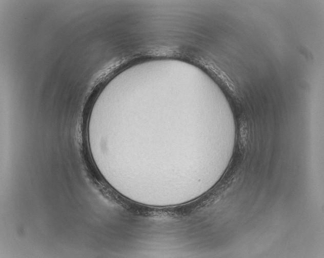 X0000114630682200911171010