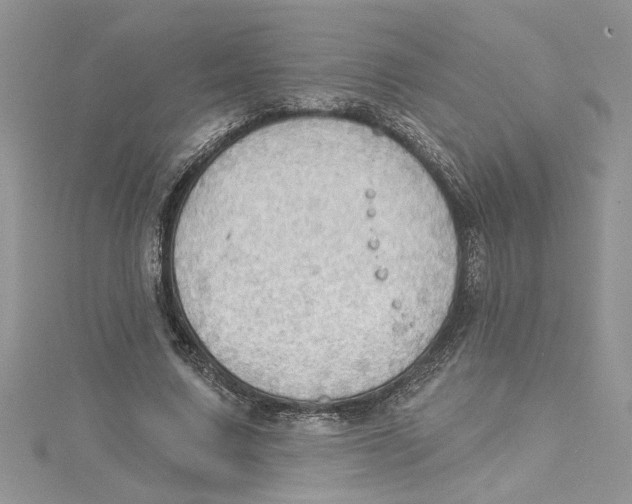 X0000114630683200911171010