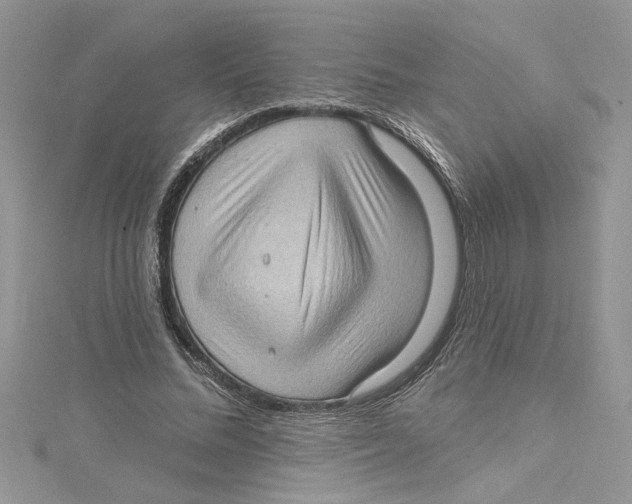 X0000114630684200911171010