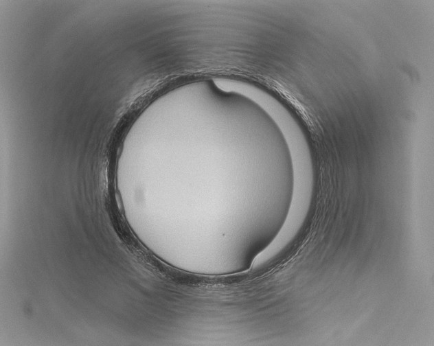 X0000114630685200911171010