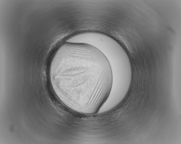 X0000114630688200911171010