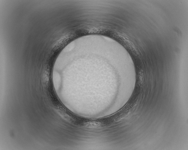 X0000114630691200911171010