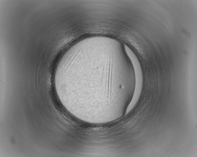 X0000114630692200911171010