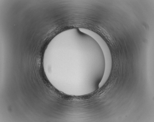 X0000114630697200911171010