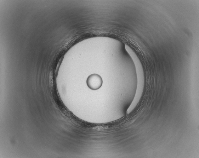 X0000114630700200911171010