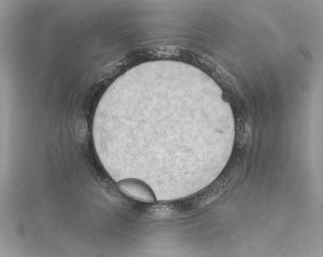 X0000114630704200911171010