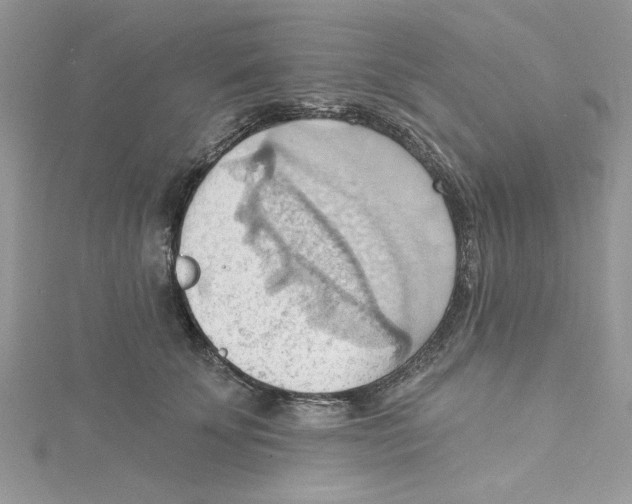 X0000114630707200911171010