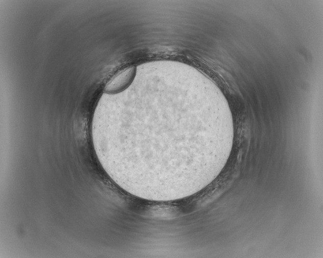 X0000114630708200911171010