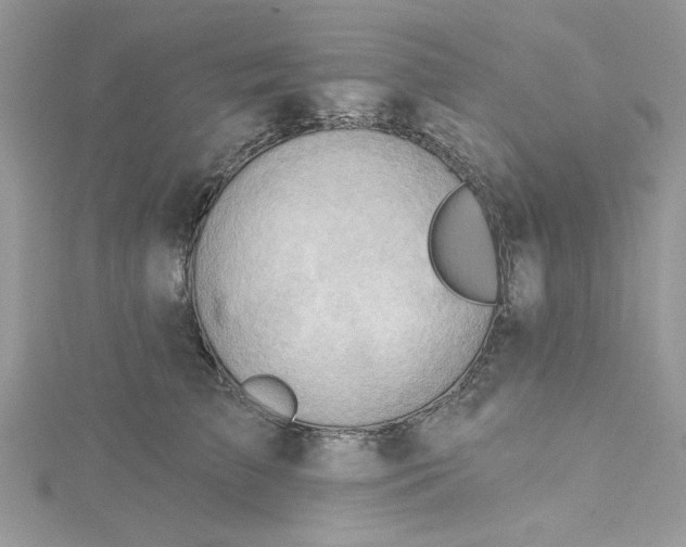 X0000114630709200911171010