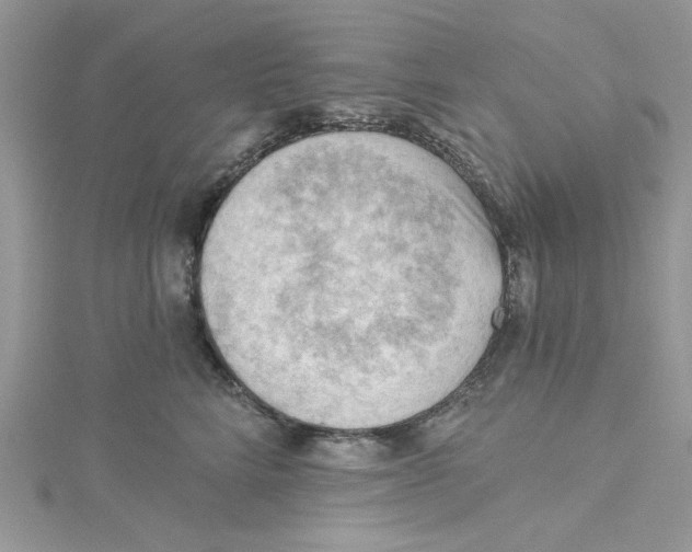 X0000114630712200911171010