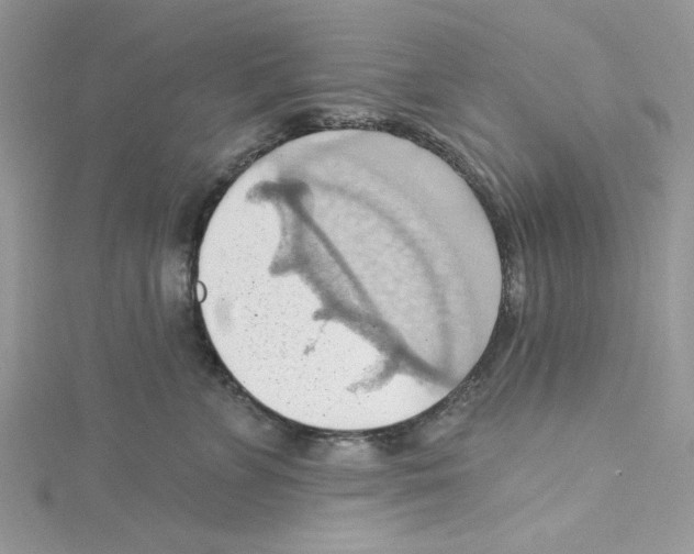 X0000114630715200911171010