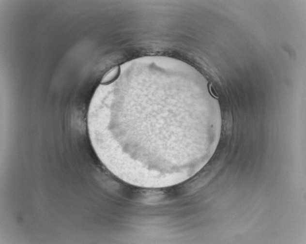 X0000114630719200911171010