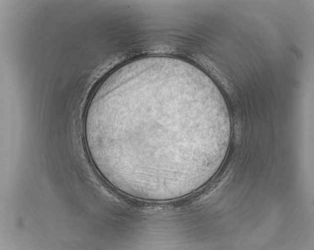 X0000114630721200911171009