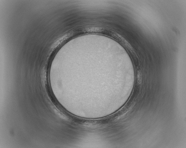 X0000114630725200911171009