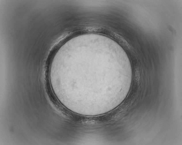 X0000114630730200911171009