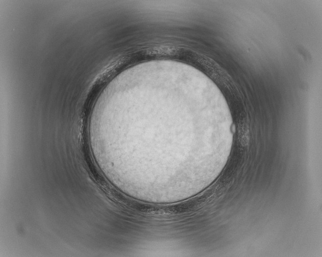 X0000114630735200911171010