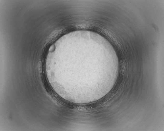 X0000114630738200911171010